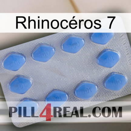 Rhinocéros 7 21